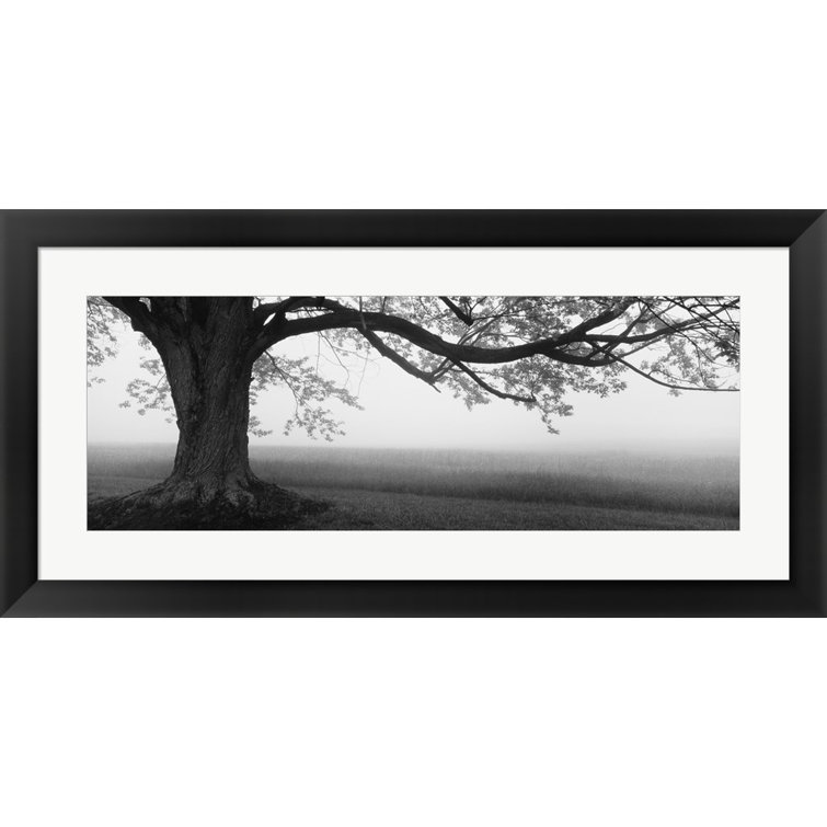 Metaverse Corporation Handmade Landscape & Nature Wall Decor on Paper